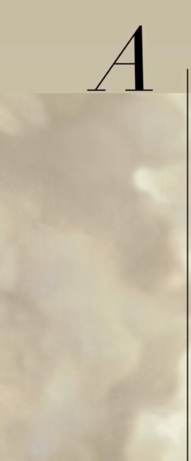 CONCRETE WALLPAPER: Neutral (2 Roll Pack)
