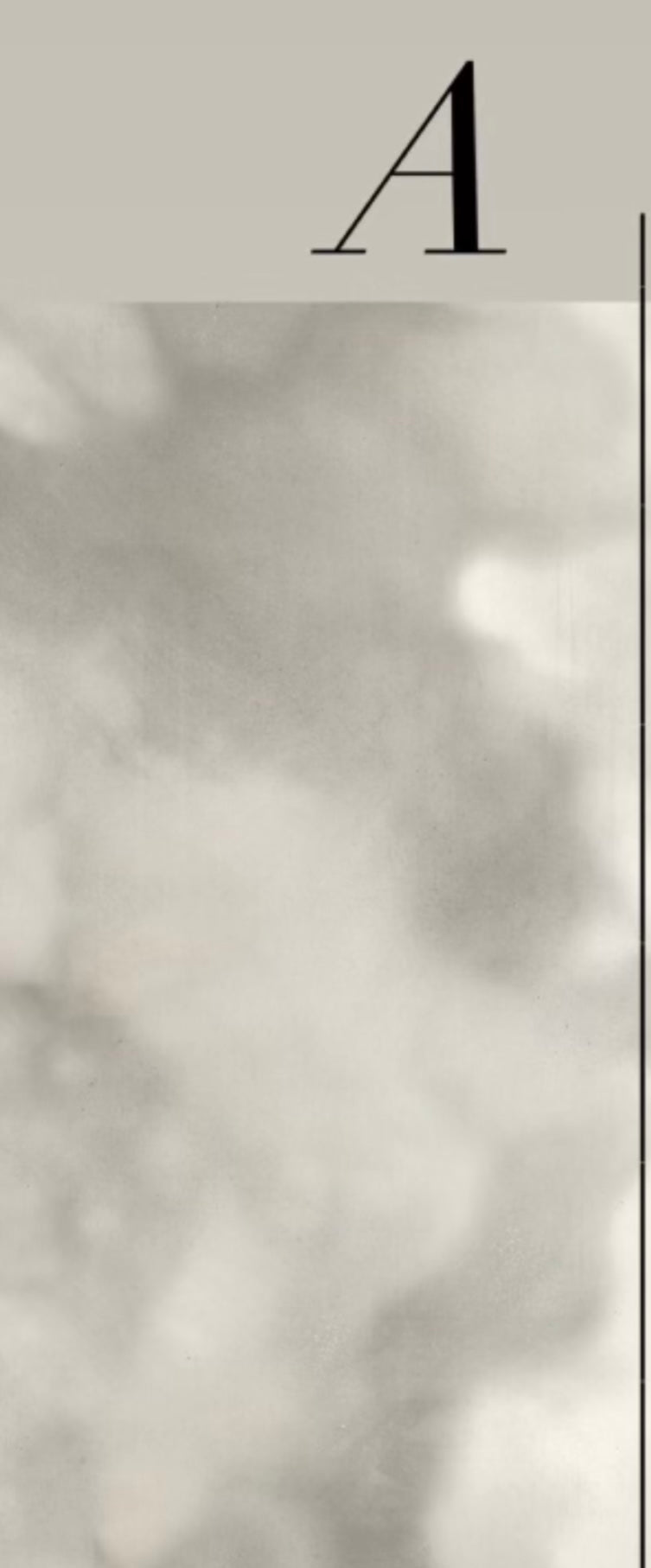 CONCRETE WALLPAPER: Storm (2 Roll Pack)