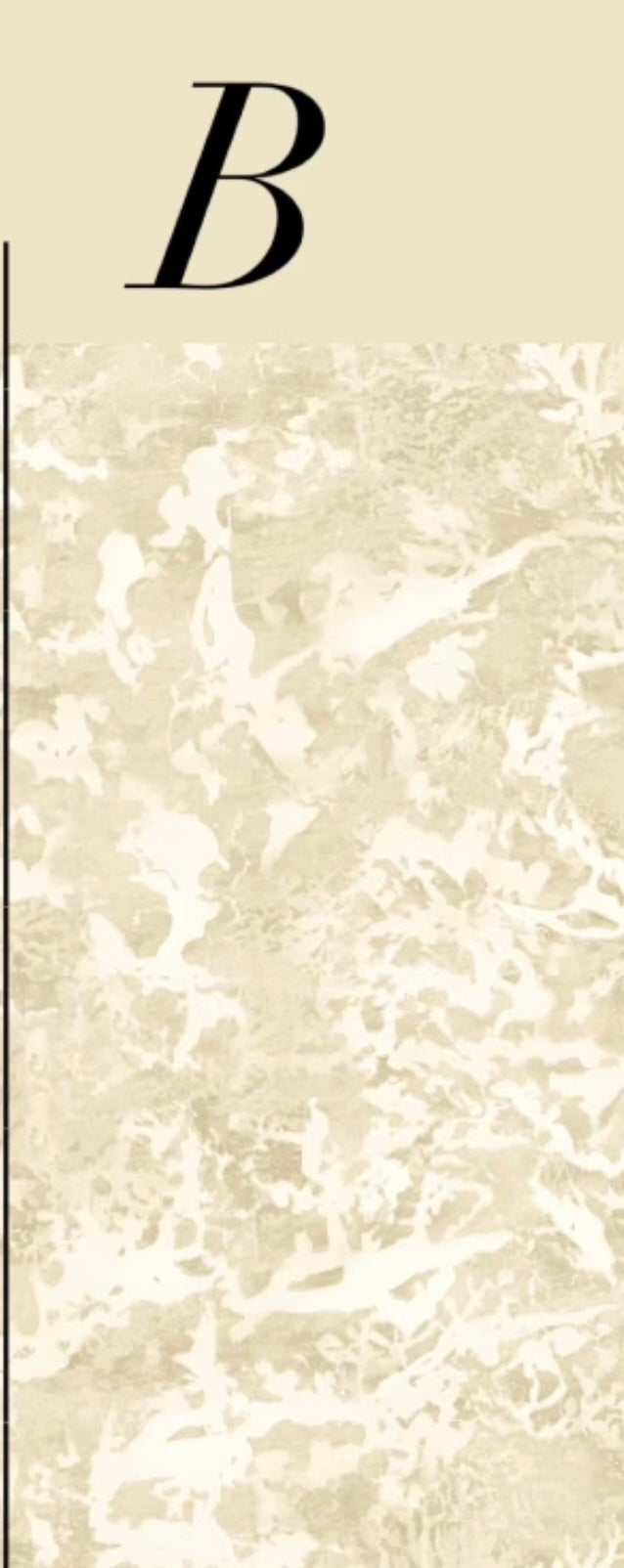 PATINA WALLPAPER: Champagne (2 Roll Pack)