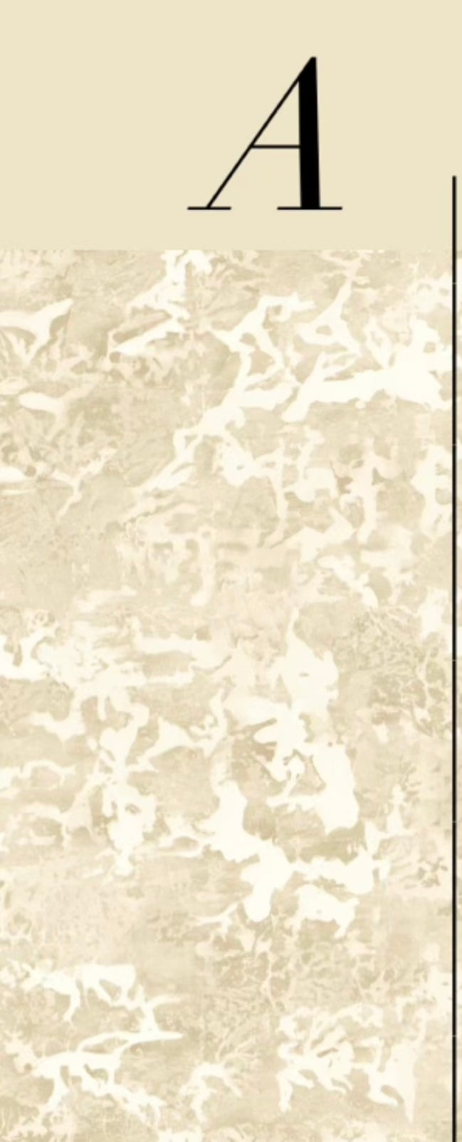 PATINA WALLPAPER: Champagne (2 Roll Pack)