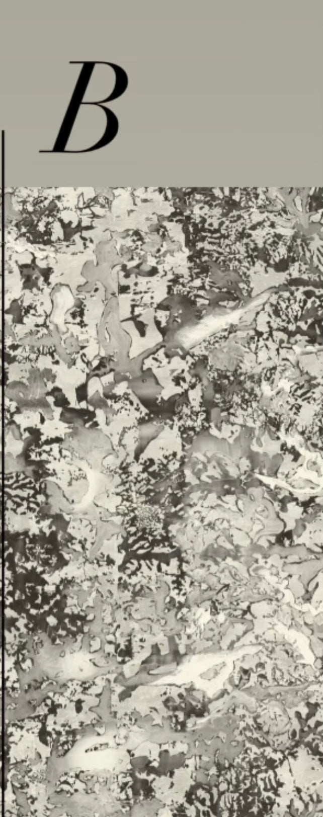 PATINA WALLPAPER: Sepia (2 Roll Pack)