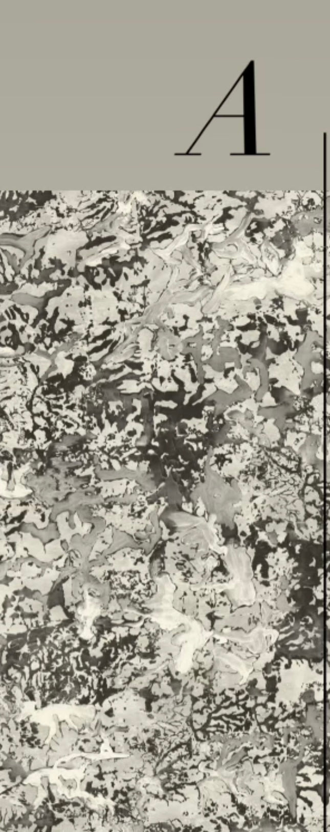 PATINA WALLPAPER: Sepia (2 Roll Pack)