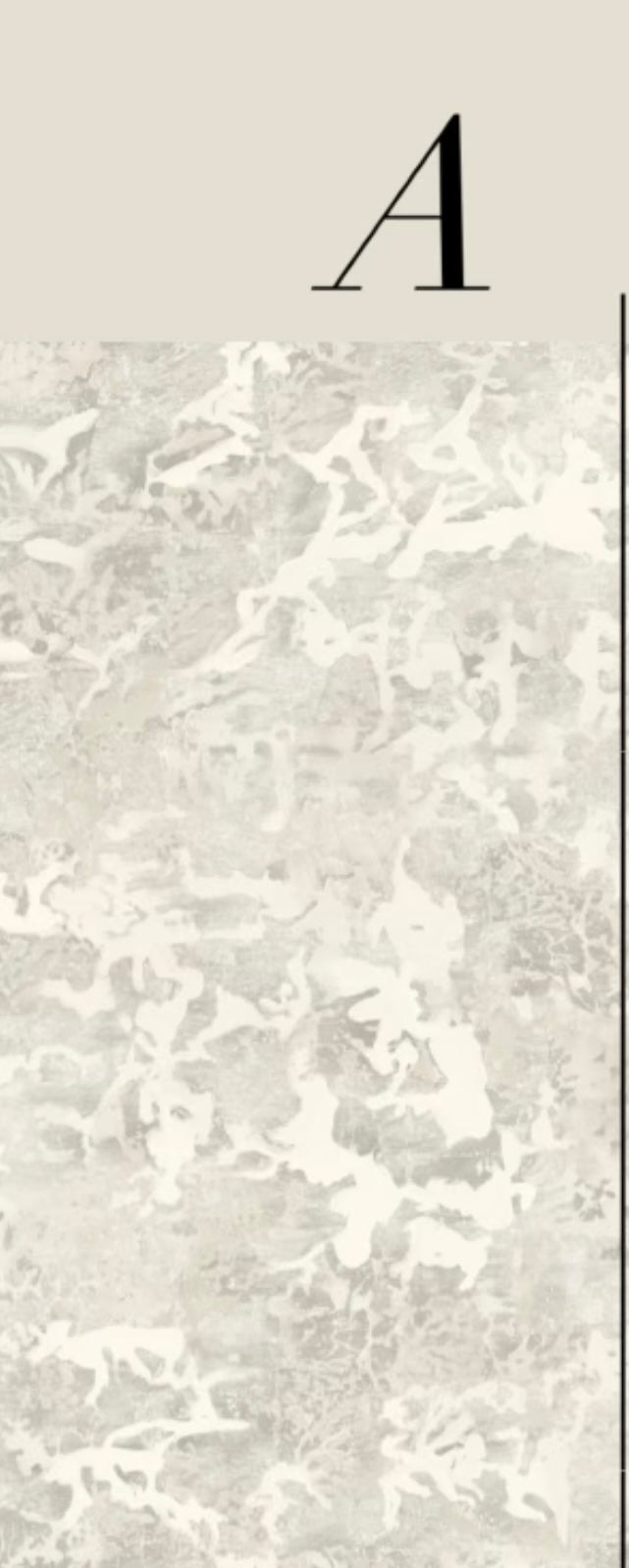 PATINA WALLPAPER: Platinum (2 Roll Pack)