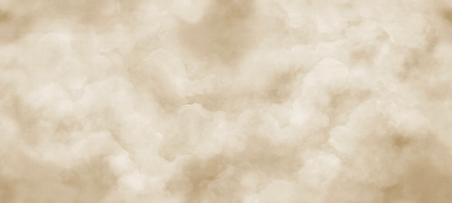 CLOUDS MURAL:  Neutral